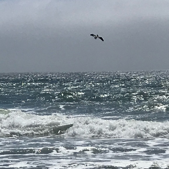 Photos - Picture 8 of 11